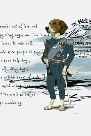 2016新款图案印花华亿平台图片