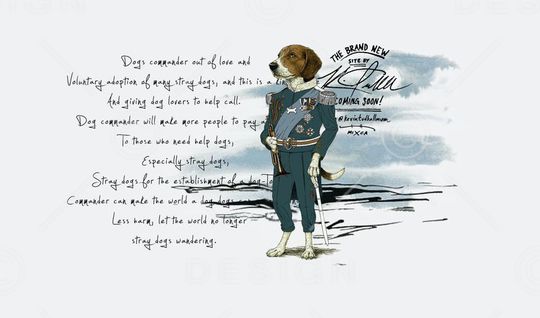 2016新款图案印花华亿平台图片