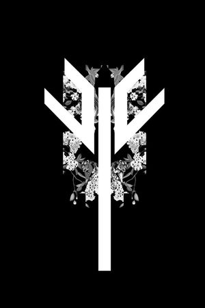 时尚潮牌男装印花华亿平台图片