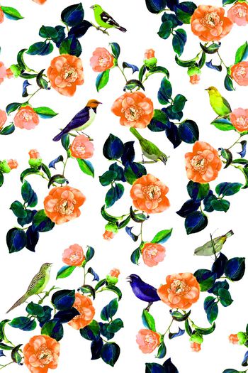 686218-2016-8-3水彩花鸟3