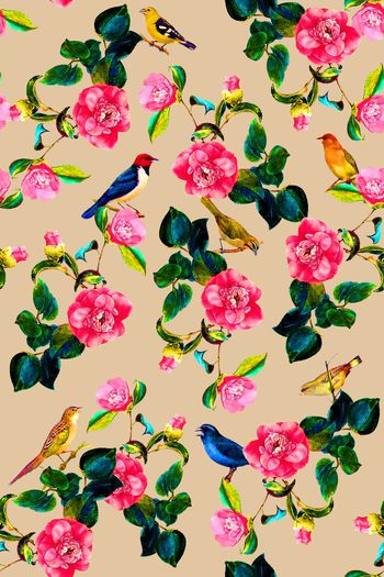 686219-2016-8-3水彩花鸟4