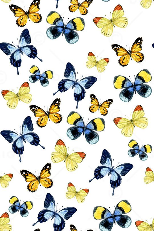 蝴蝶印花华亿平台图片