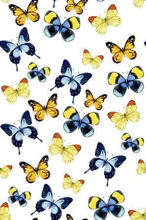 蝴蝶印花华亿平台图片