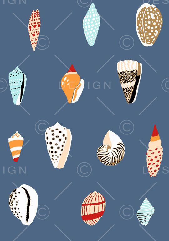 贝壳印花华亿平台图片