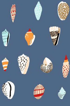 贝壳印花华亿平台图片