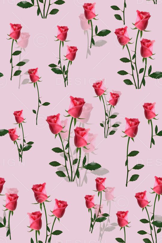 花鸟印花华亿平台图片