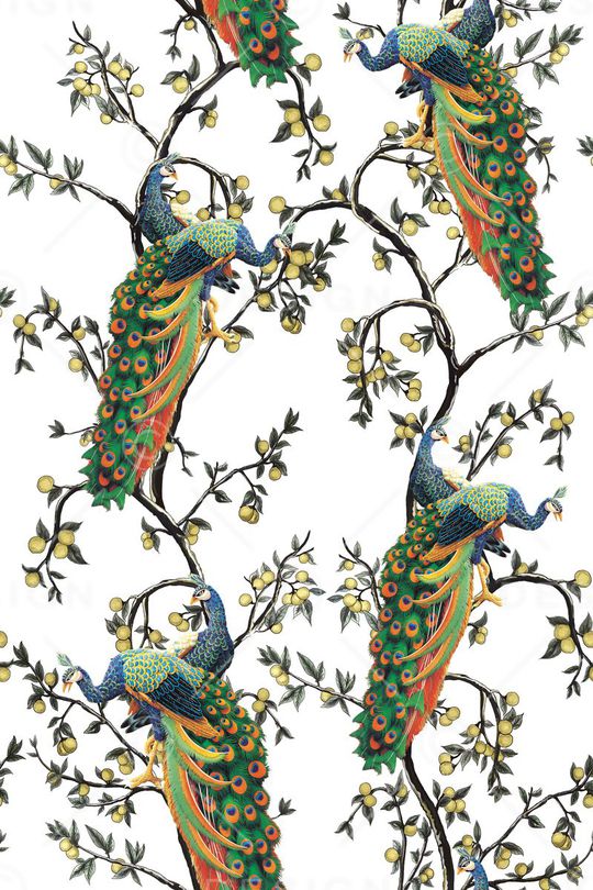 杜嘉班纳印花华亿平台图片