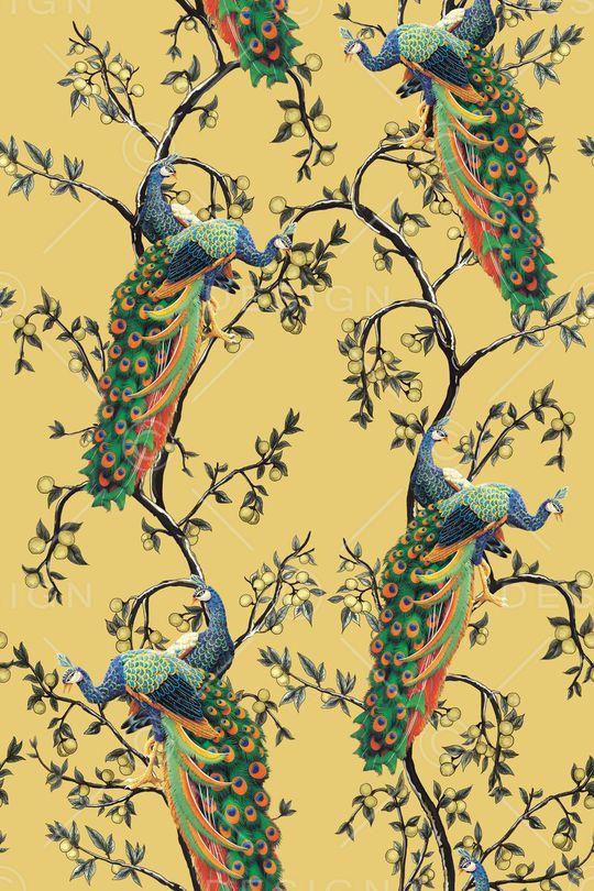 杜嘉班纳印花华亿平台图片