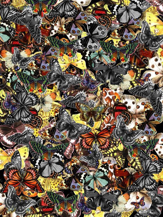 动物印花华亿平台图片