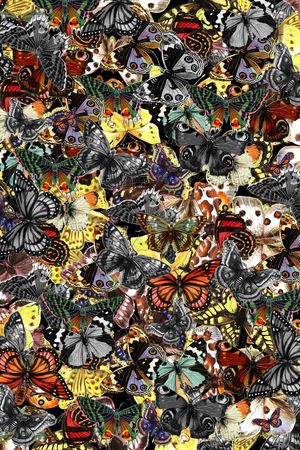 动物印花华亿平台图片