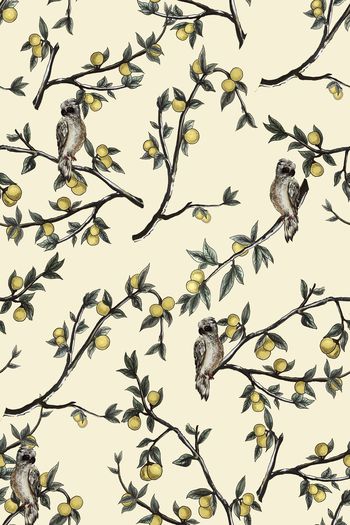 686469-树枝猫头鹰