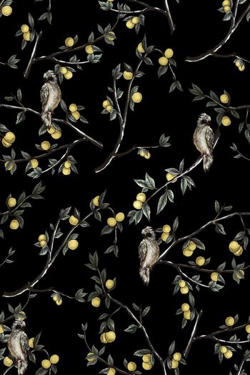 686470-树枝猫头鹰1