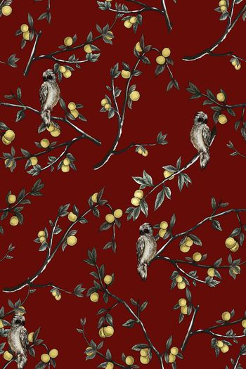 686471-树枝猫头鹰2