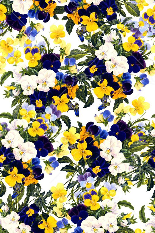 小清新印花华亿平台图片