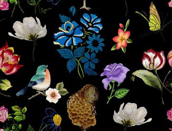 686726-创意刺绣质感花鸟蝴蝶-黑