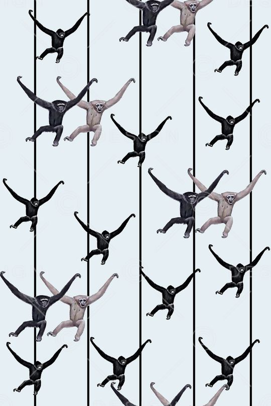 趣味印花华亿平台图片