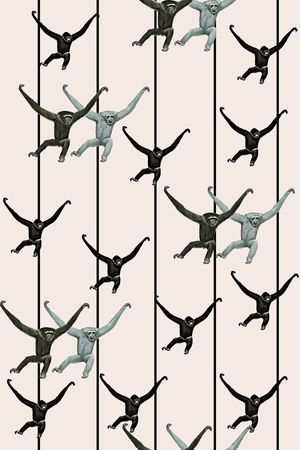 趣味印花华亿平台图片