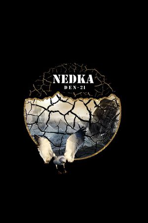 鸟印花华亿平台图片