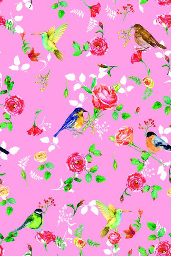 686806-水彩果实叶子小鸟08952c