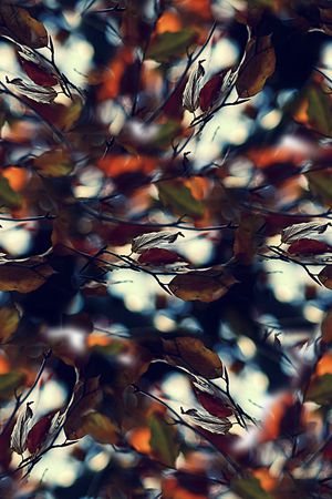 树叶印花华亿平台图片