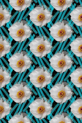 686849-160802-青蓝雅韵-5-1