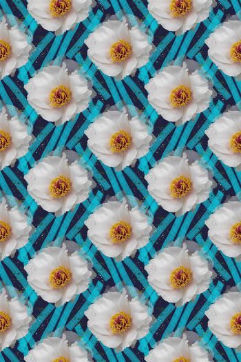 686850-160802-青蓝雅韵-5-2