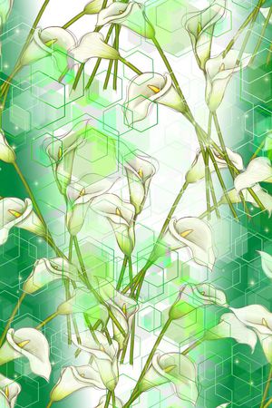 手绘、马蹄莲印花华亿平台图片