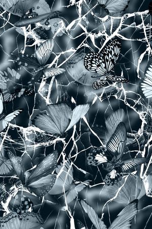 蝴蝶印花华亿平台图片