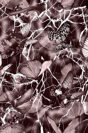 蝴蝶印花华亿平台图片