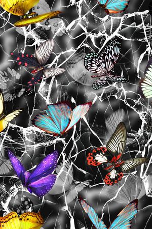 蝴蝶印花华亿平台图片