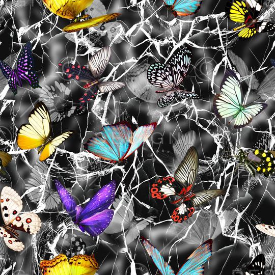 蝴蝶印花华亿平台图片