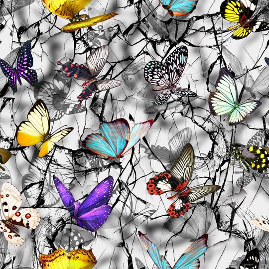 蝴蝶印花华亿平台图片