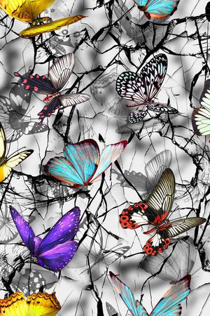 蝴蝶印花华亿平台图片