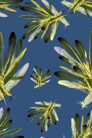 羽毛印花华亿平台图片