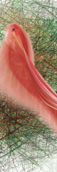 梦幻印花华亿平台图片