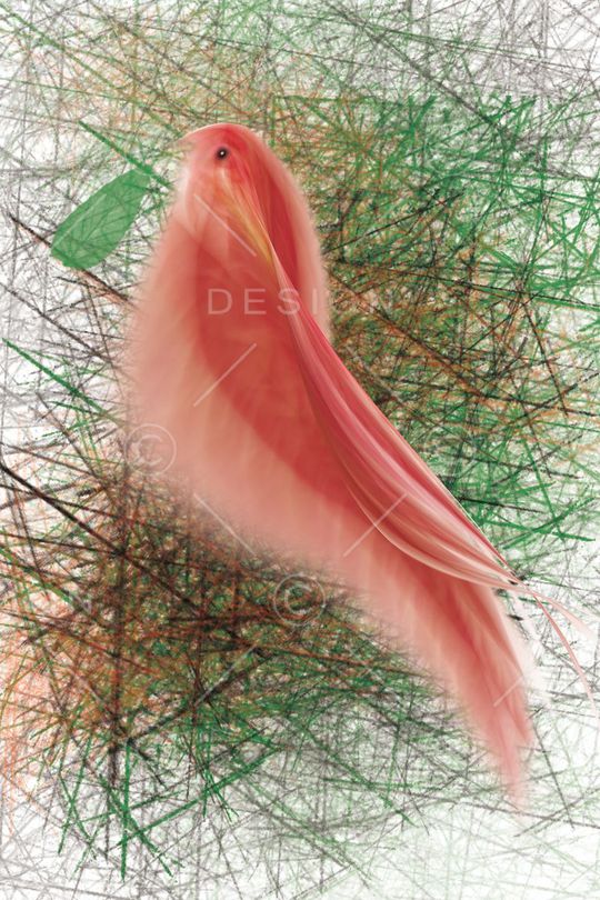 梦幻印花华亿平台图片