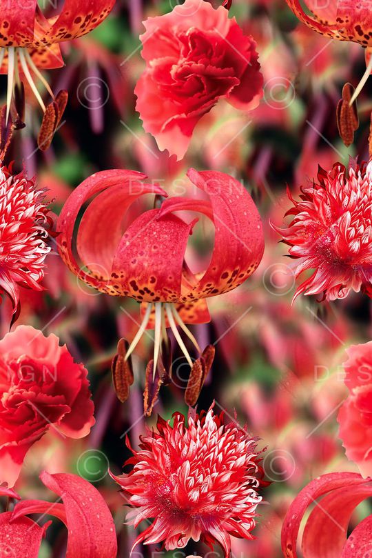 时尚潮流女装花卉数码印花印花华亿平台图片