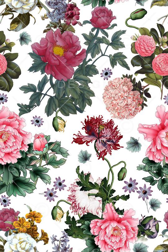 牡丹印花华亿平台图片