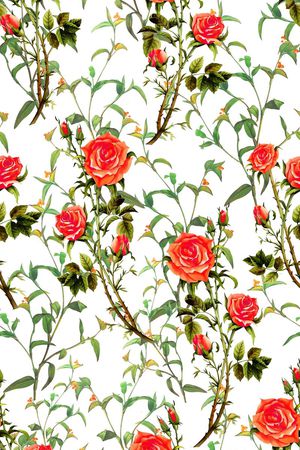 时尚。小清新印花华亿平台图片