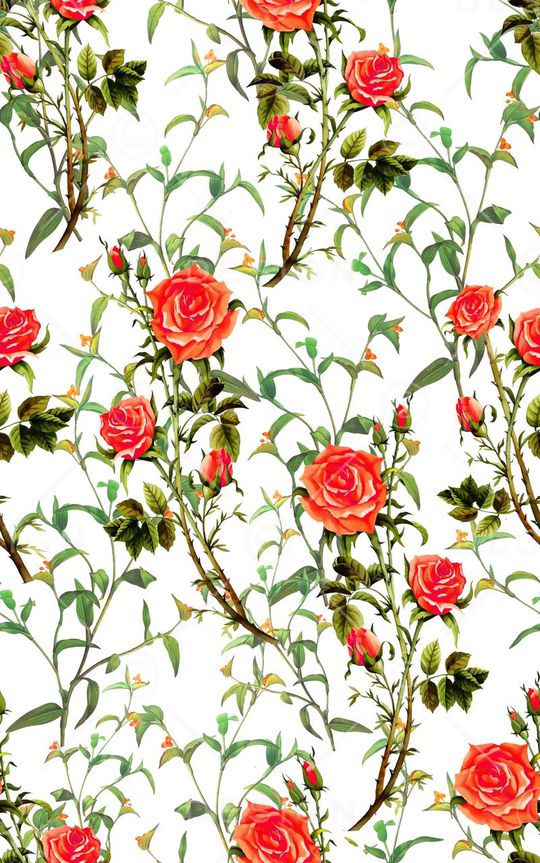 时尚。小清新印花华亿平台图片