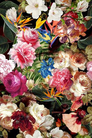 牡丹印花华亿平台图片