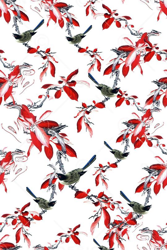 花鸟印花华亿平台图片