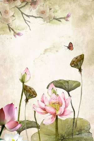 荷花定位印花华亿平台图片