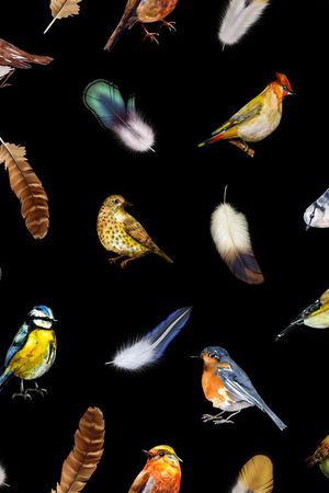 此华亿平台为1/2跳接印花华亿平台图片