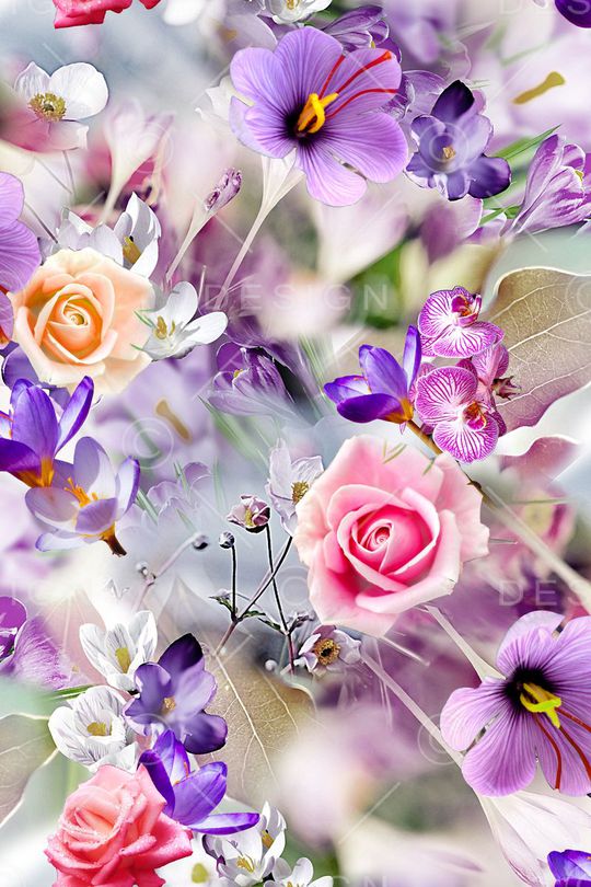 3D花朵印花华亿平台图片