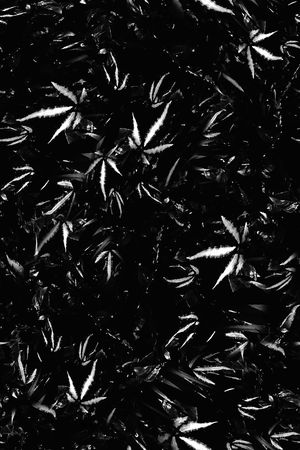 男装印花华亿平台图片