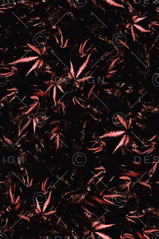 男装印花华亿平台图片