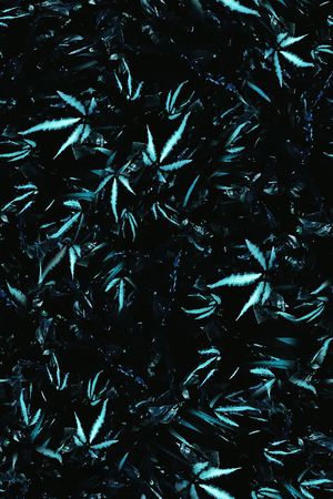 男装印花华亿平台图片