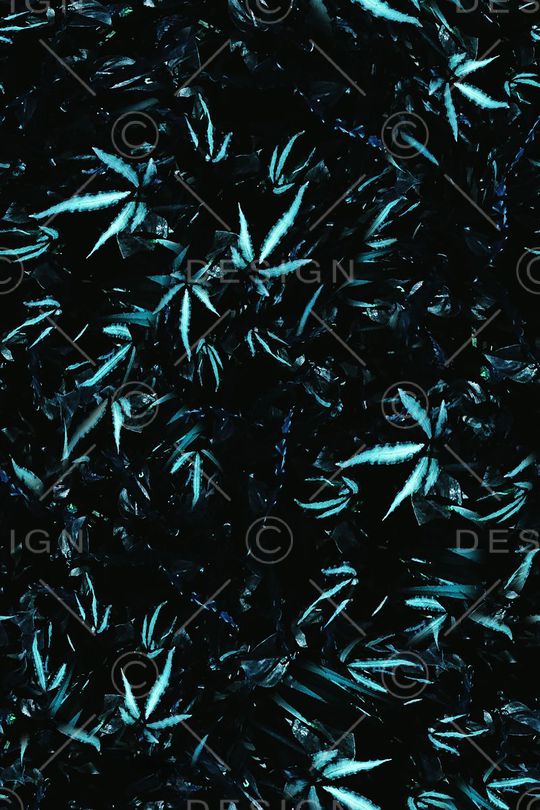 男装印花华亿平台图片