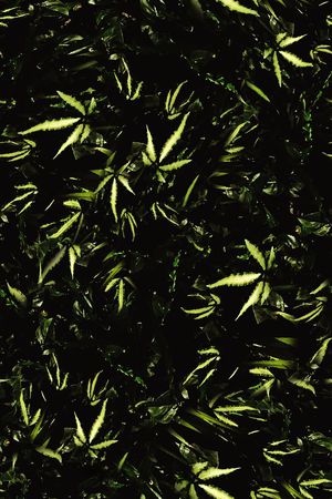 男装印花华亿平台图片